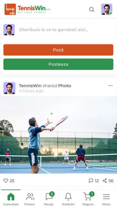 TennisWin Screenshot