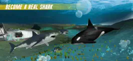 Game screenshot Angry Shark Attack : Sim 2018 mod apk