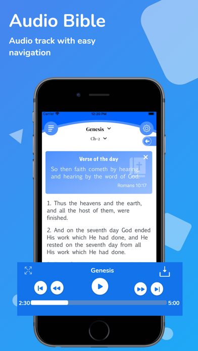 NIV Bible Audio - Holy Version Screenshot