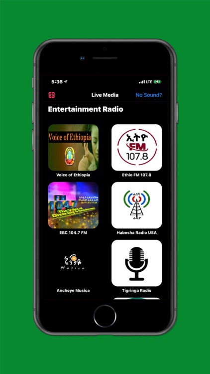 Ethiopia Today screenshot-4