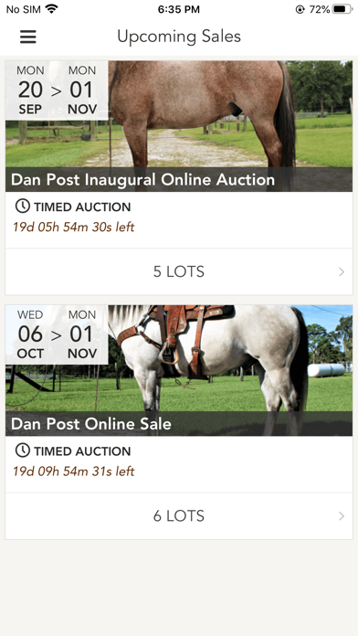 Dan Post Quarter Horse Auction Screenshot