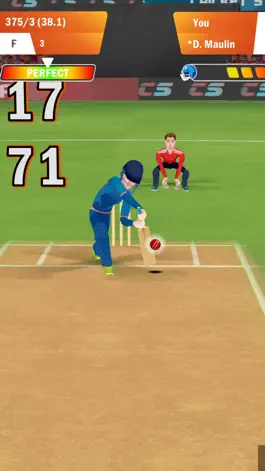 Game screenshot Cricket Star Pro hack