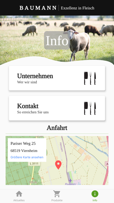 Baumann Screenshot