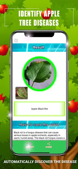 Game screenshot Identify Apple Tree Diseases hack