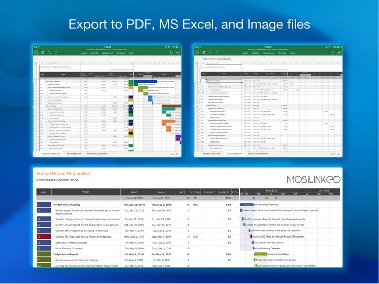 QuickPlan Basic - Project Plan screenshot-7