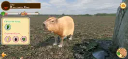Game screenshot Capybara Spa hack