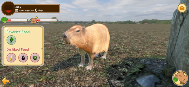 Download do APK de Capybara Run para Android