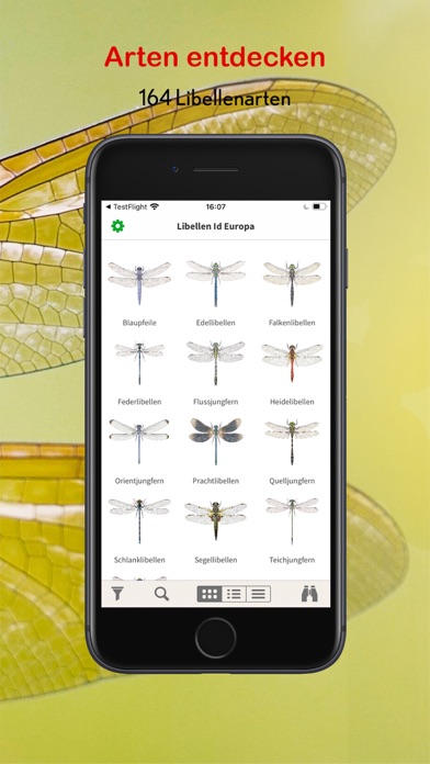 Libellen Id Europa Screenshot