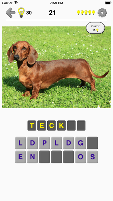Screenshot #2 pour Chiens: Photo-quiz et la liste