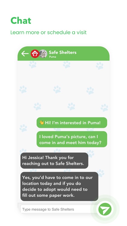 Pounce: It's a Pawesome match screenshot-4
