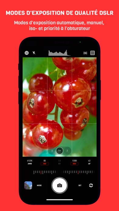 Screenshot #3 pour CameraPixels PRO