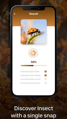 Insect ID - Bug Identifier screenshot 4