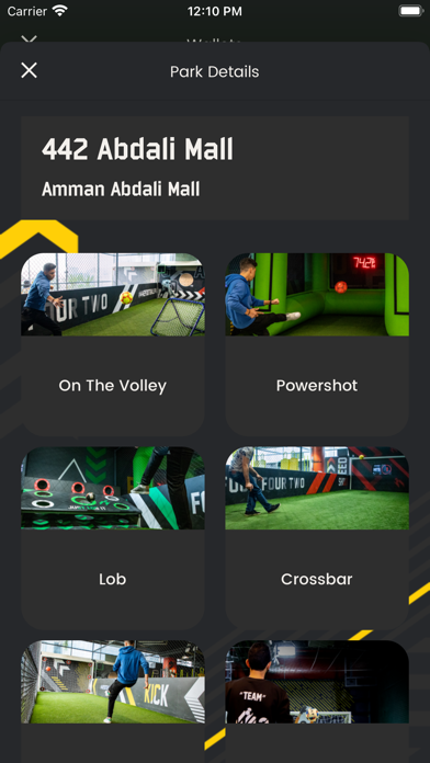 442 Football Park Screenshot