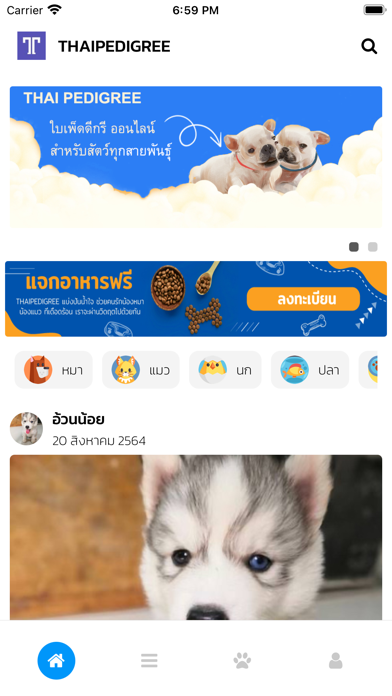 THAIPEDIGREE ไทยเพ็ดดีกรี Screenshot