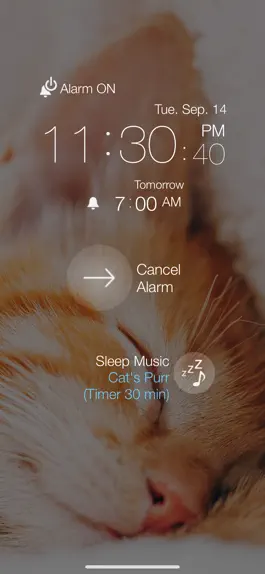 Game screenshot Cat Alarm Clock :3 apk