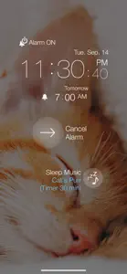 Cat Alarm Clock :3 screenshot #2 for iPhone