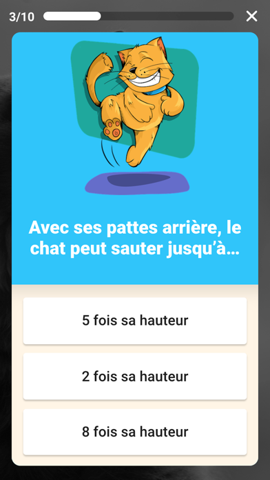 Screenshot #1 pour Speez - Les chats