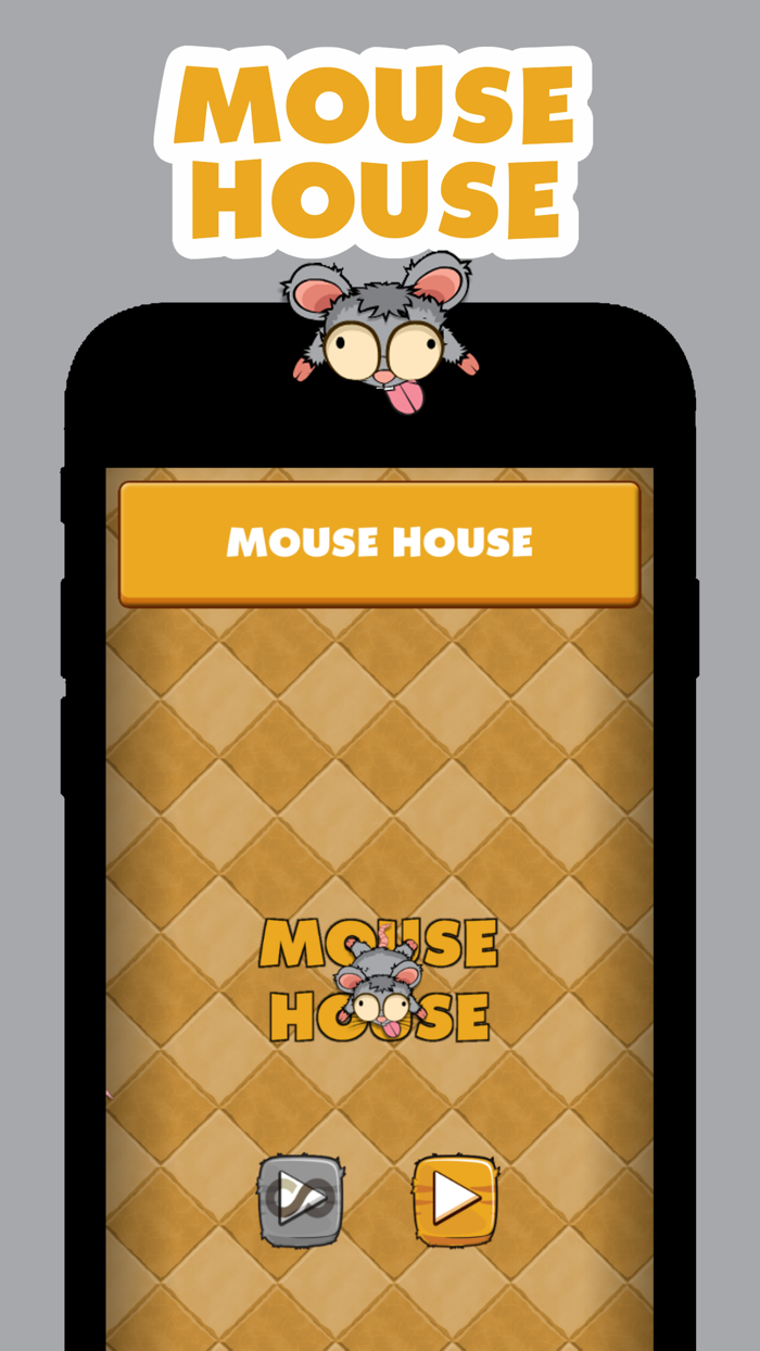 Mouse House Simple Angles Fun