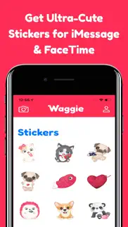 waggie - pet social network iphone screenshot 3