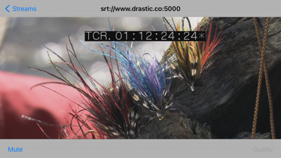 Screenshot #1 pour FlowCaster Player