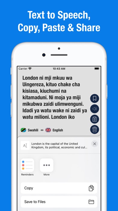 Swahili to English Translator. Screenshot