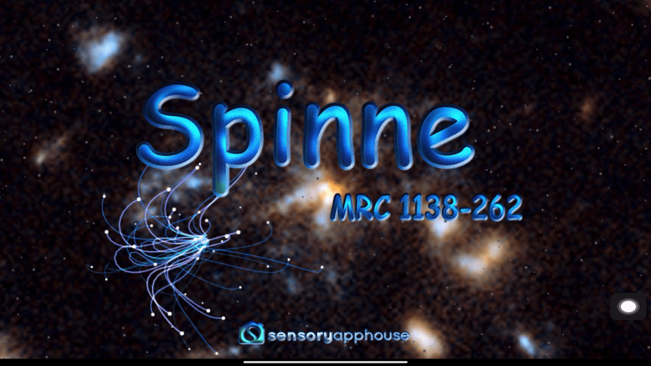 #1. Spinne (iOS) 由: Sensory App House Ltd