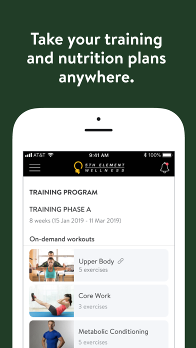 Fifth Element Wellness Screenshot