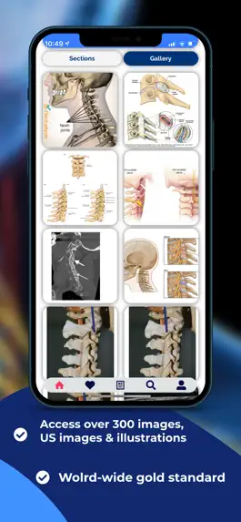 Game screenshot US Pain Blocks hack