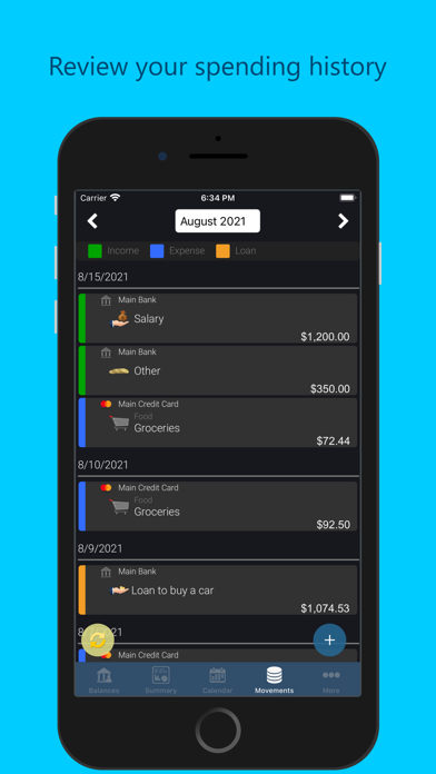 Saru - Expenses and Money Screenshot