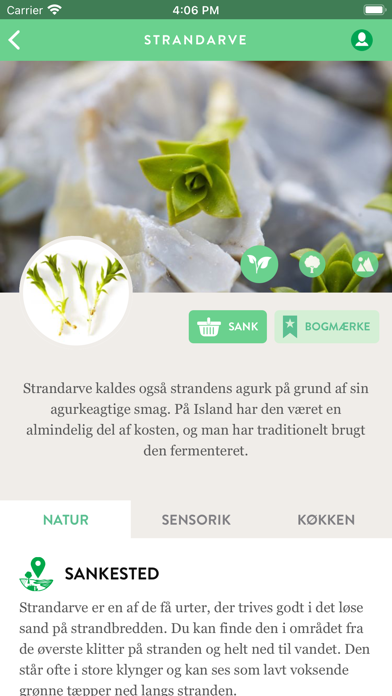 VILD MAD SKOLE Screenshot