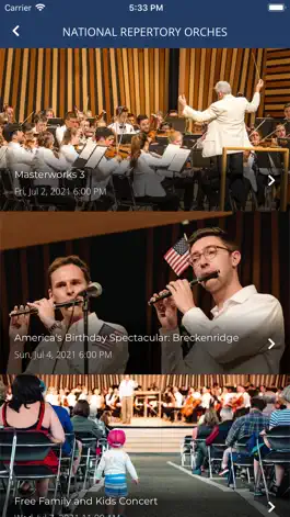 Game screenshot National Repertory Orchestra hack