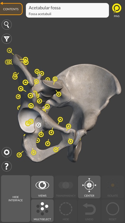 3D Anatomy for the Artist screenshot-8