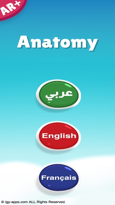 Anatomy AR 4D Screenshot