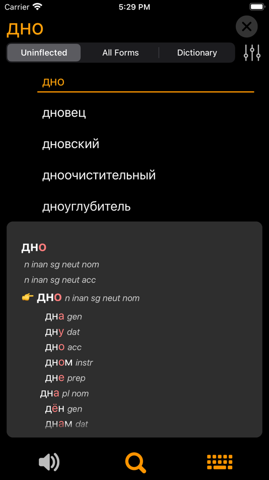 #1. RuFlex Pro Russian Inflection (iOS) 由: SERGEY CHALKOV