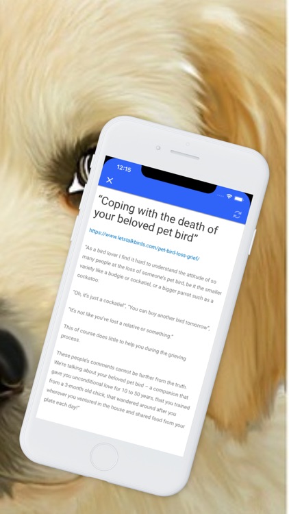 Pet Loss screenshot-5