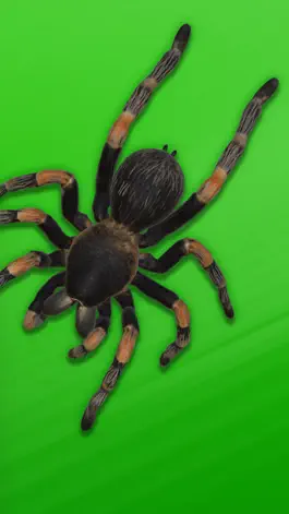 Game screenshot BugQuest XR apk