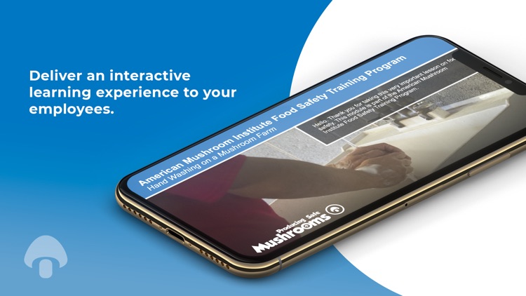 Mushroom Handwashing F EN