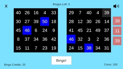 Bingo Stars: Play Today! Screenshot