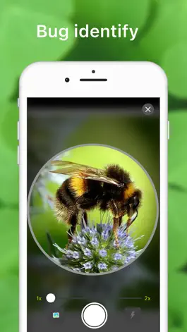 Game screenshot Insect Identification Bug Bite mod apk