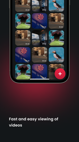Play Privacy: Video Storage screenshot