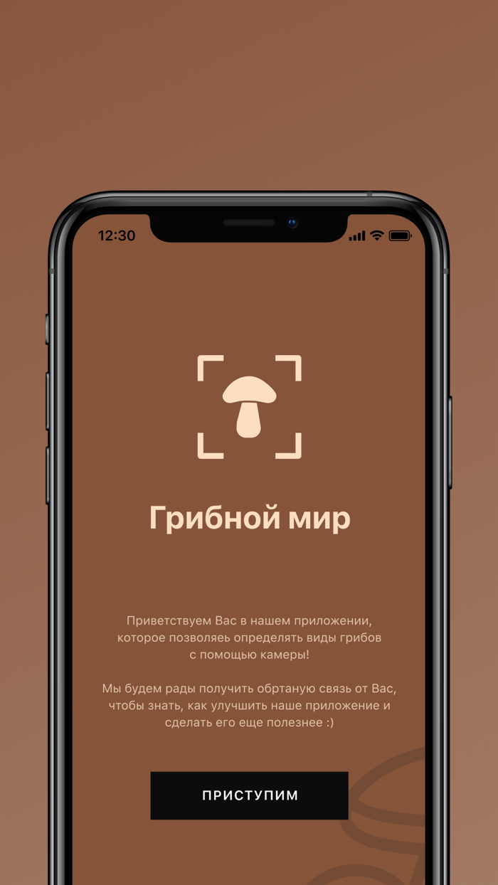 Грибной мир