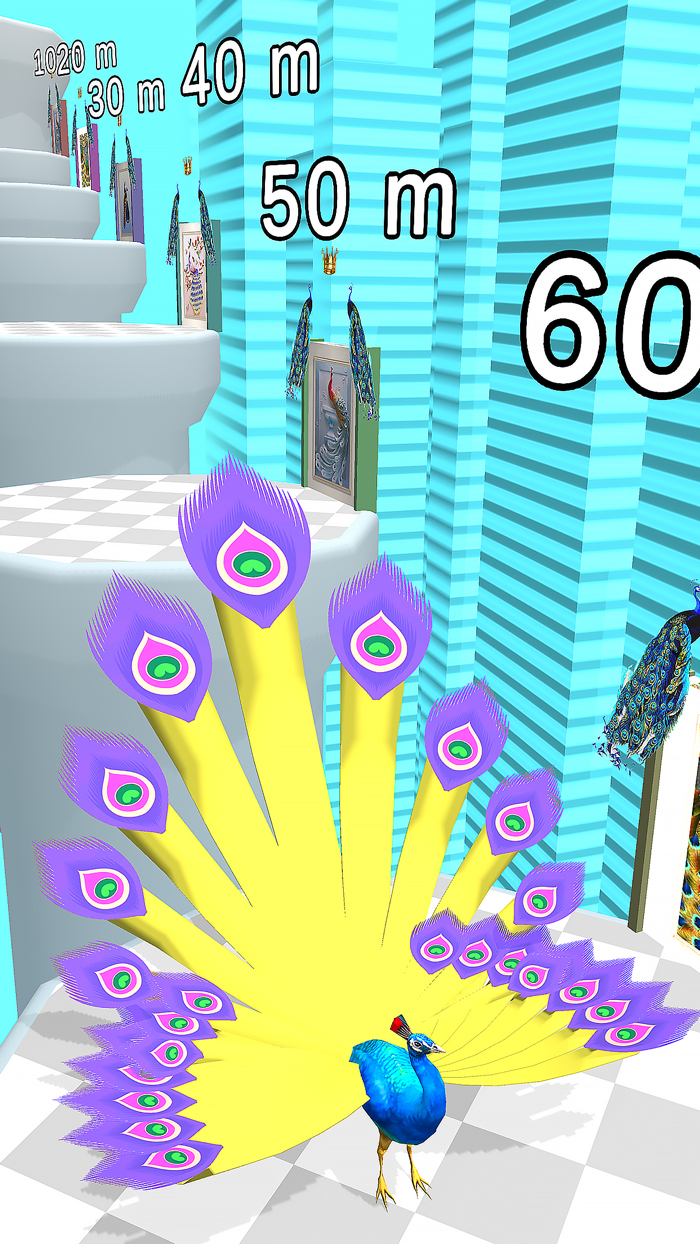 Peacock Hairy Tail Challenge