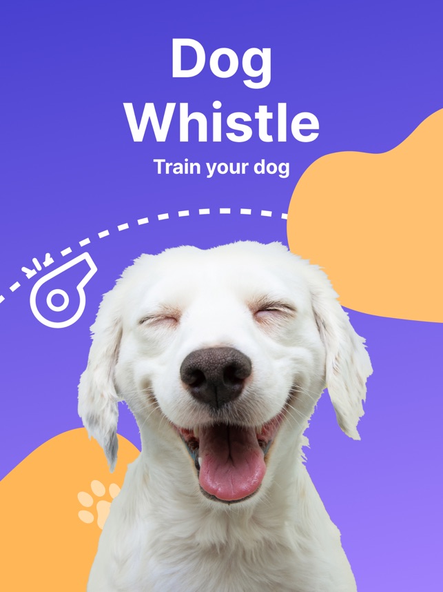 How to Whistle Train a Dog: Easy Steps for Quick Success