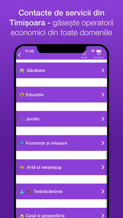 Timișoara City Screenshot