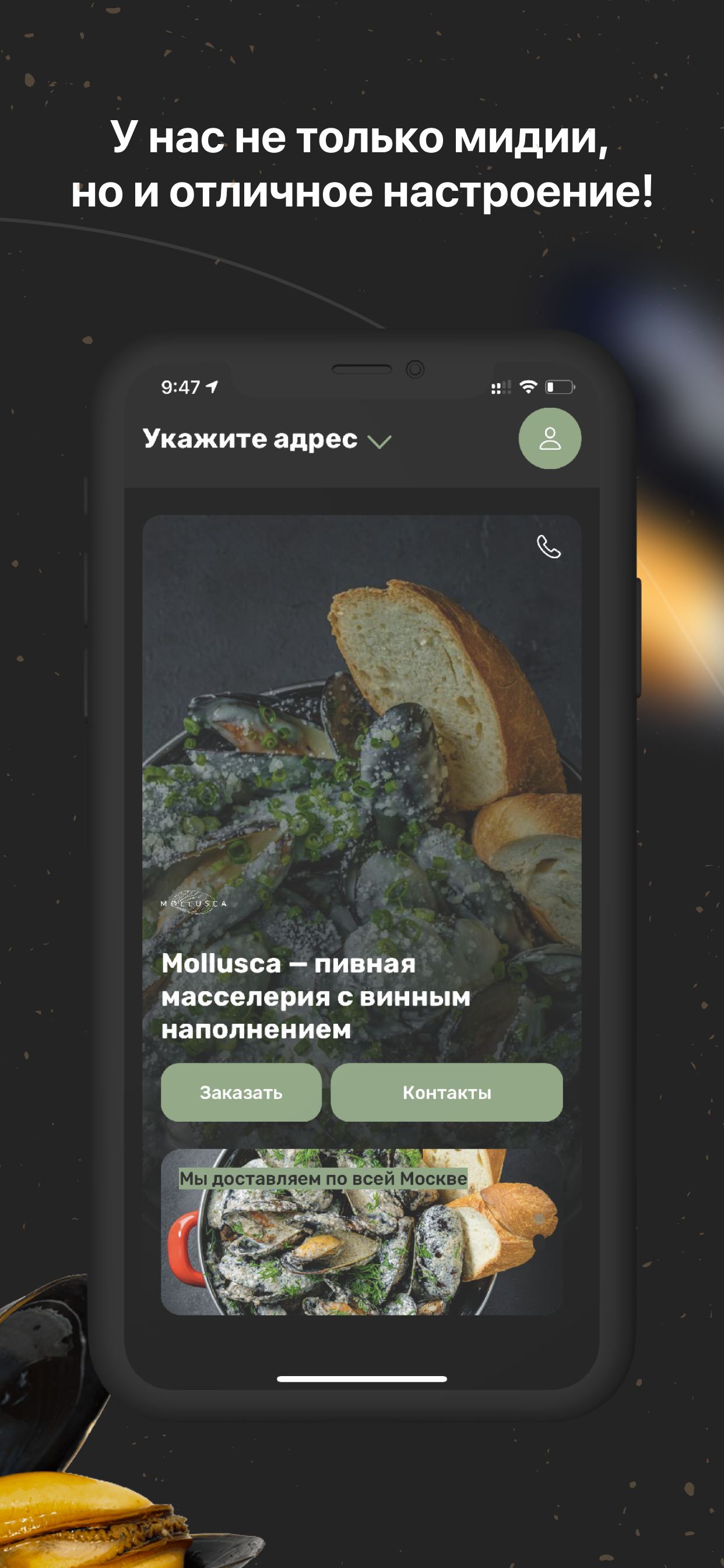 Mollusca – пивная масселерия