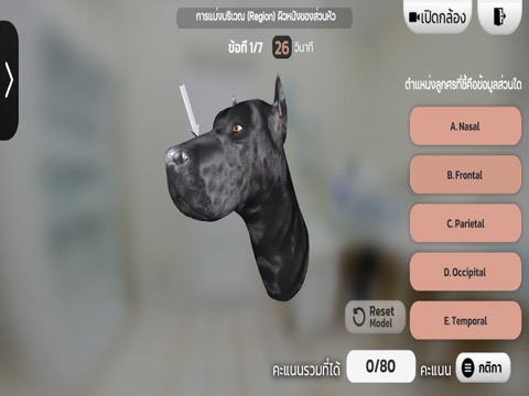 ARGBL CANINE HEADのおすすめ画像4