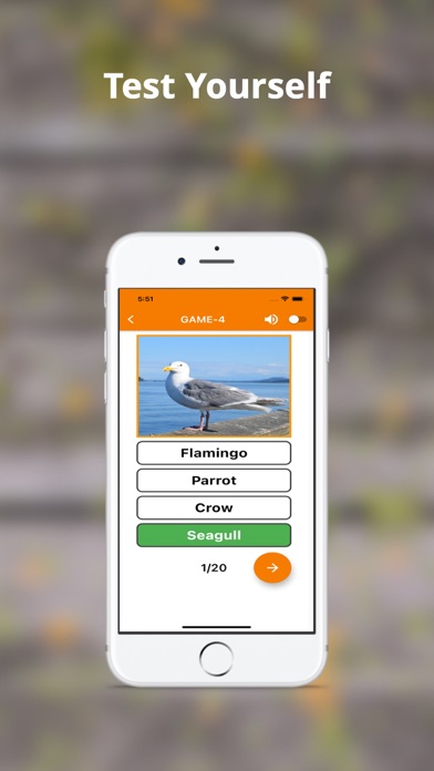 English Vocabulary-Flashcards Screenshot