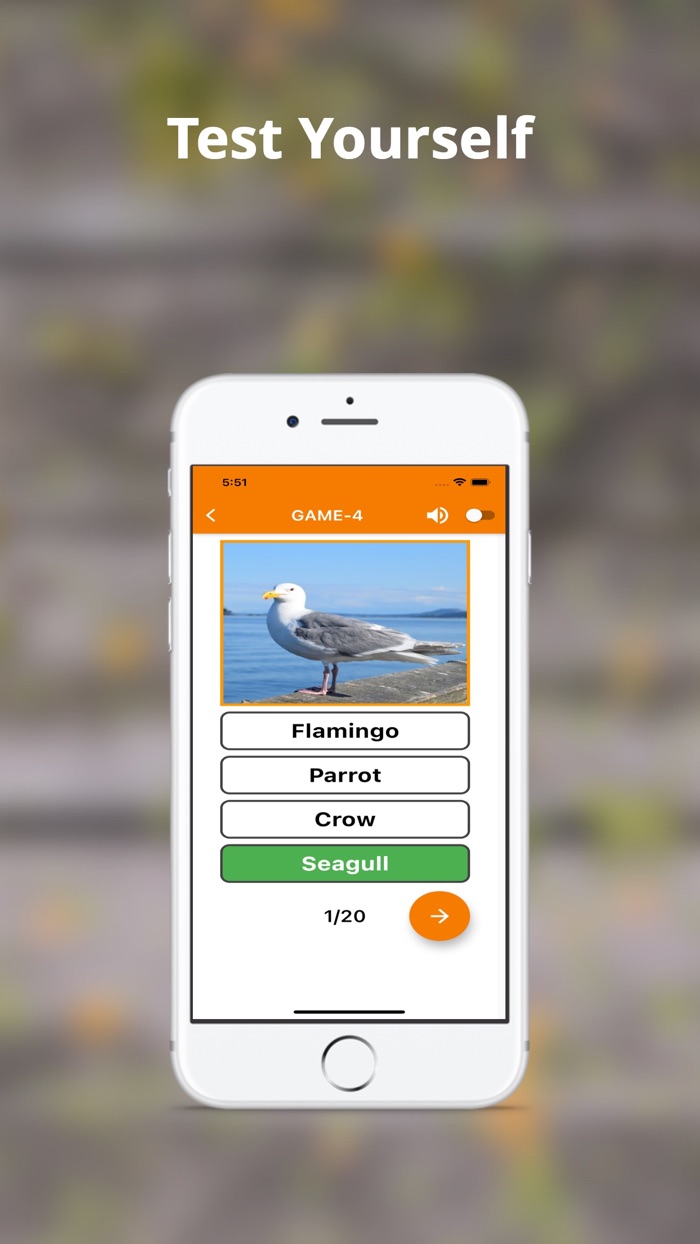 English Vocabulary-Flashcards