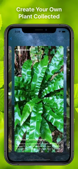 Game screenshot Plant Finder Tree identifer hack