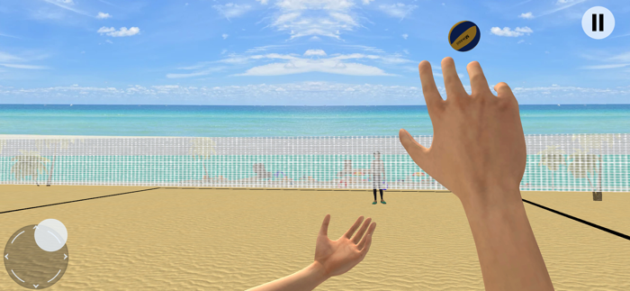 Volleyball Championship Court